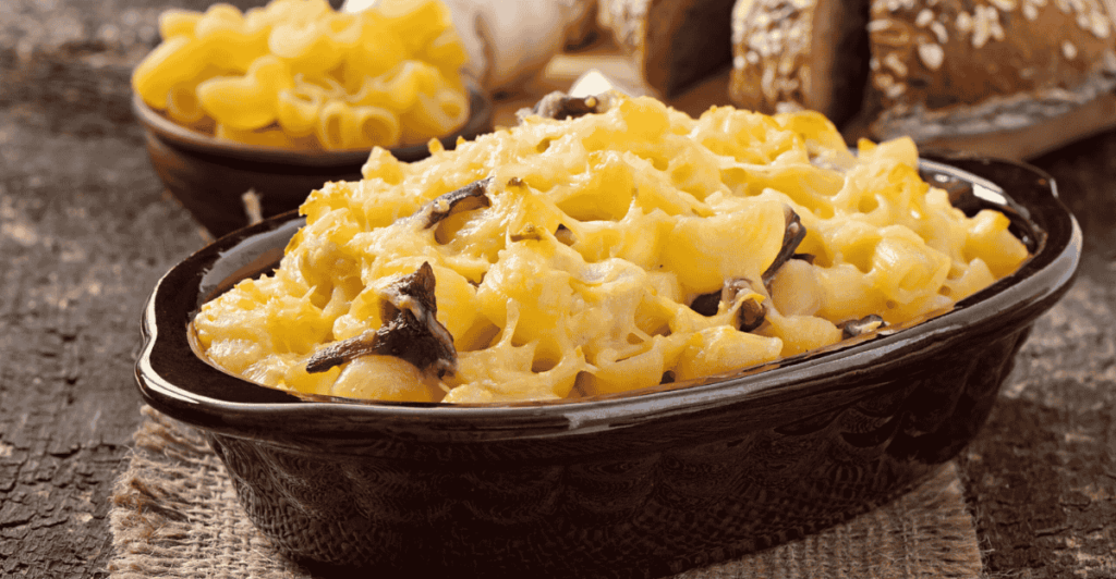 Macaroni with cheese, chicken and mushrooms baked in the oven